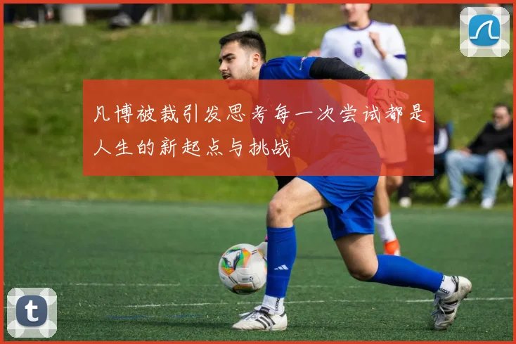 凡博被裁引发思考每一次尝试都是人生的新起点与挑战